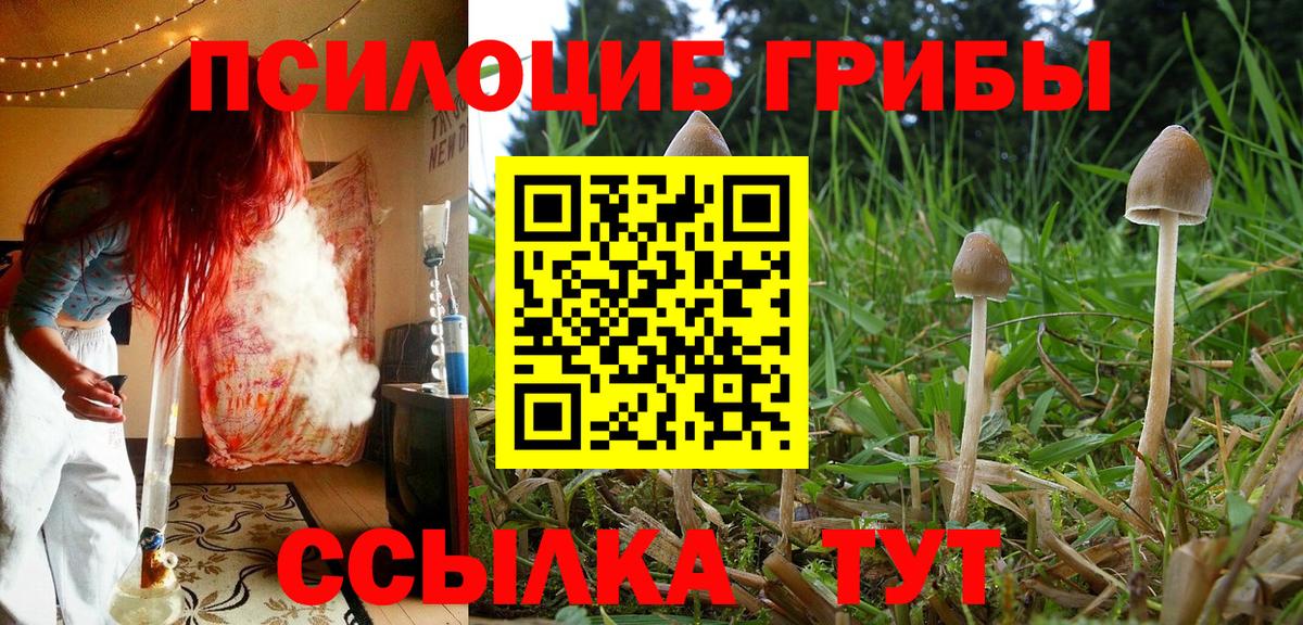 Галлюциногенные грибы Magic Shrooms  Псилоцибиновые грибы Psilocybine cubensis  Новочебоксарск  Вход с VPN 